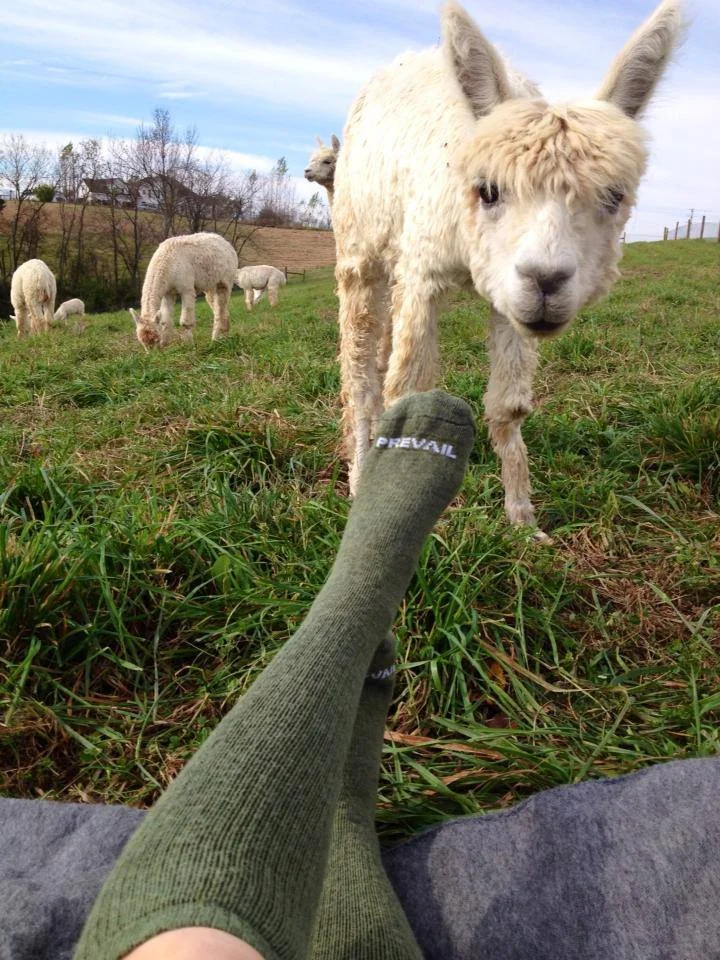 The 2014 Farmstead Gift Giving Guide