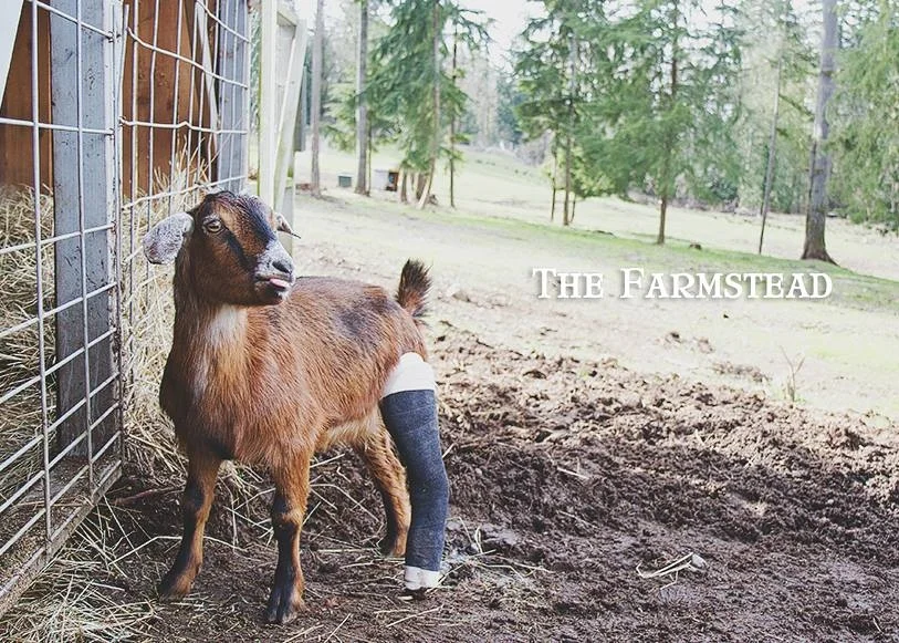 Dear February, you will not be missed.