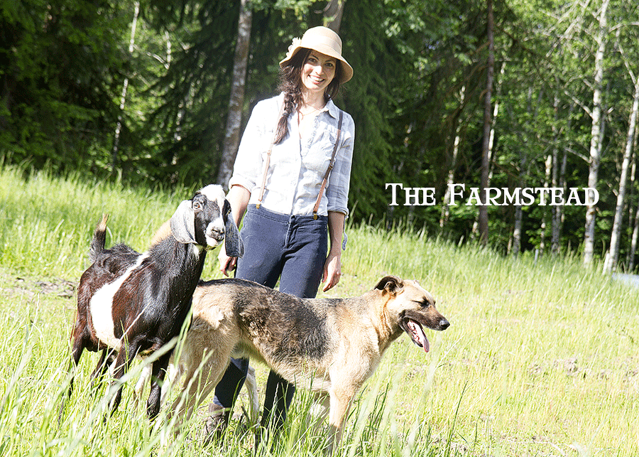 Salt of the Earth People