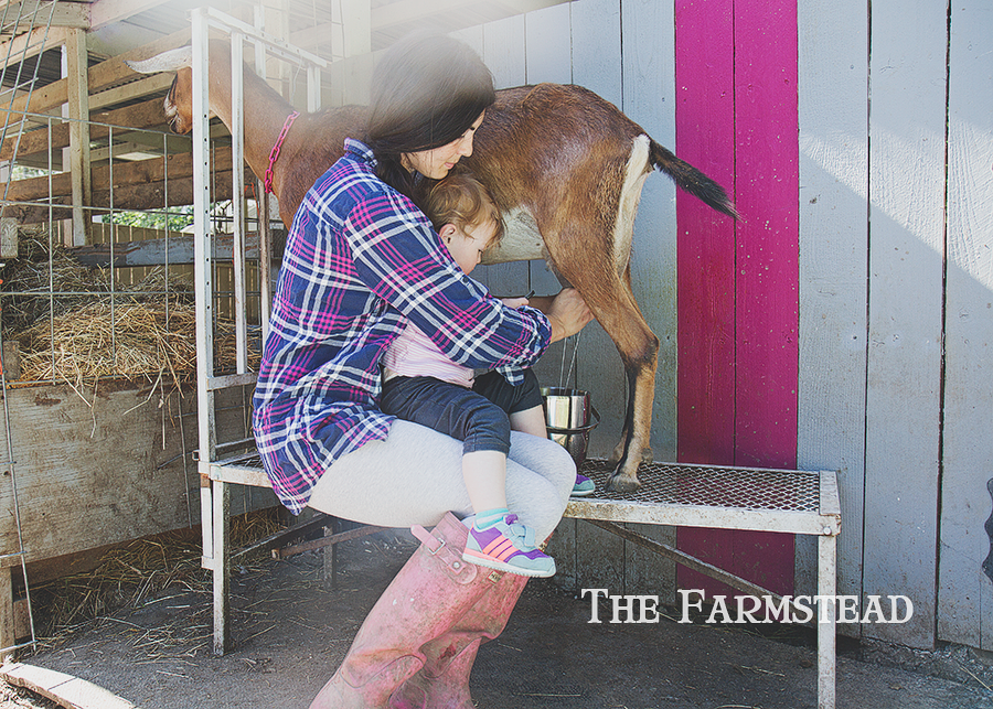 I bought a farm today