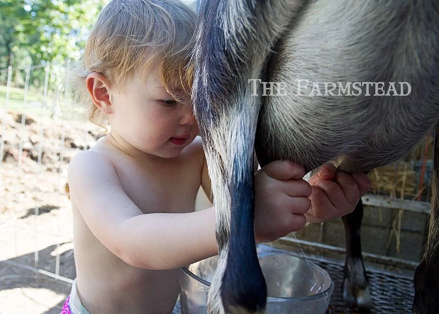 Scared & Happy: You can be both