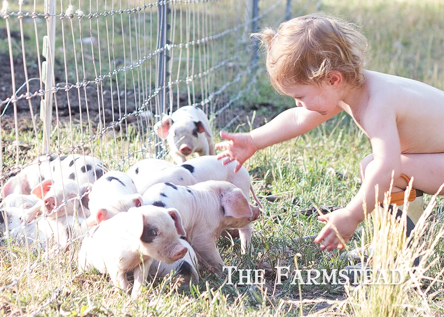 Peyote is my Spirit Animal