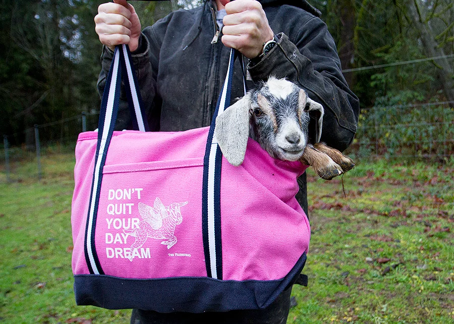 I think I can, I think I can, I think I can...