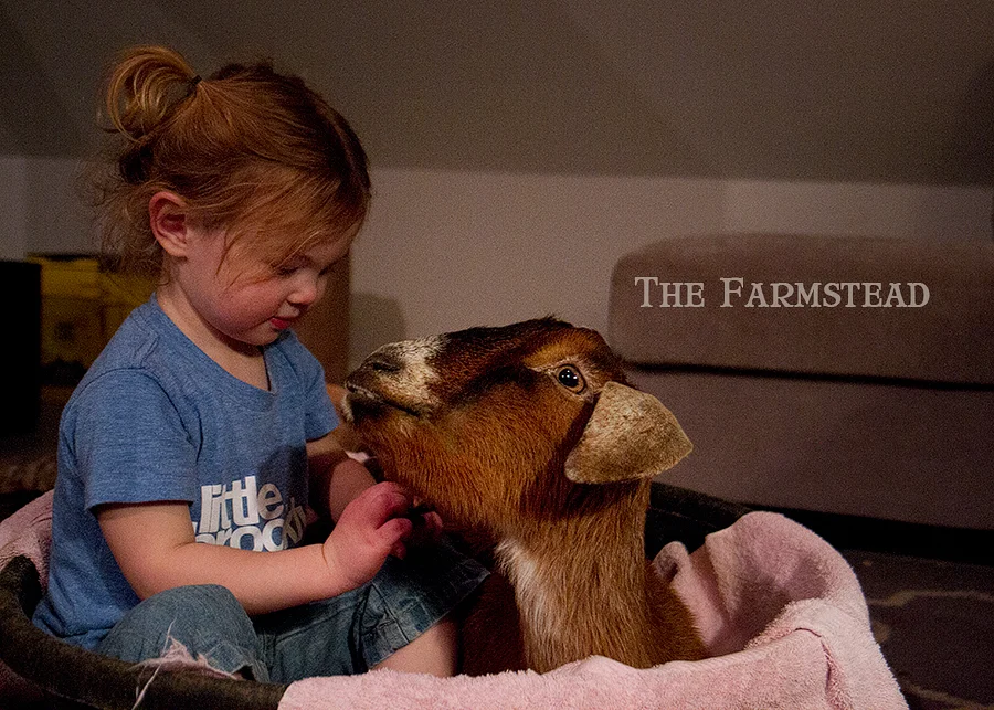 Rest in Peace My Sweet Peyote