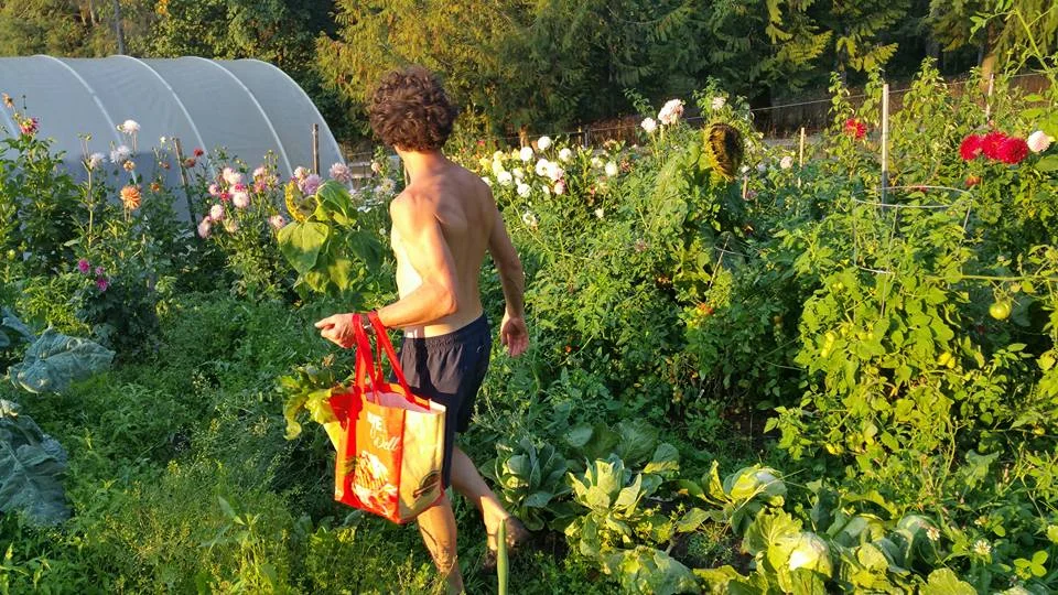 The Summer of Kale