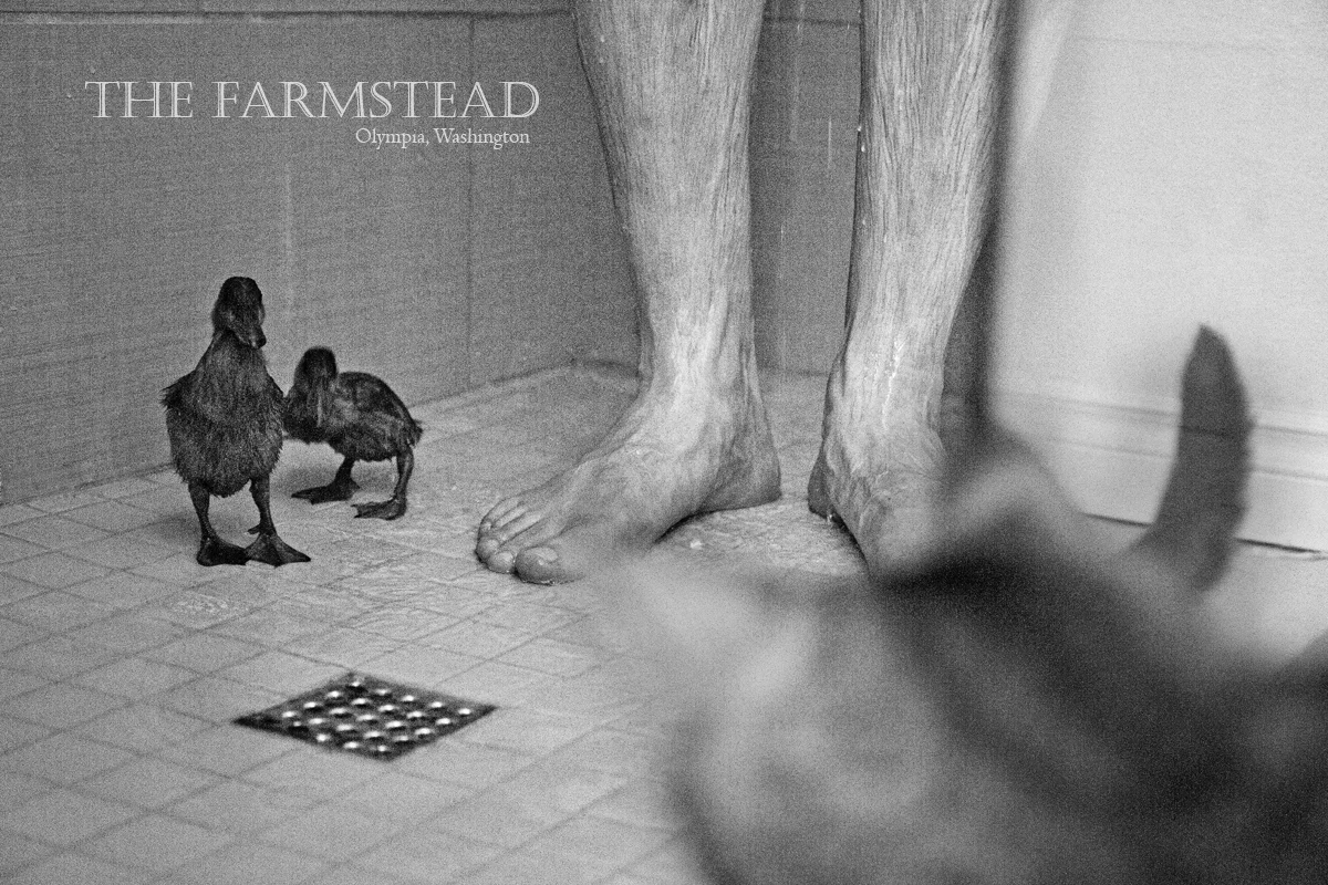 Amazing & Awkward: III