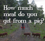 how-much-meat-do-you-get-from-a-pig.jpg