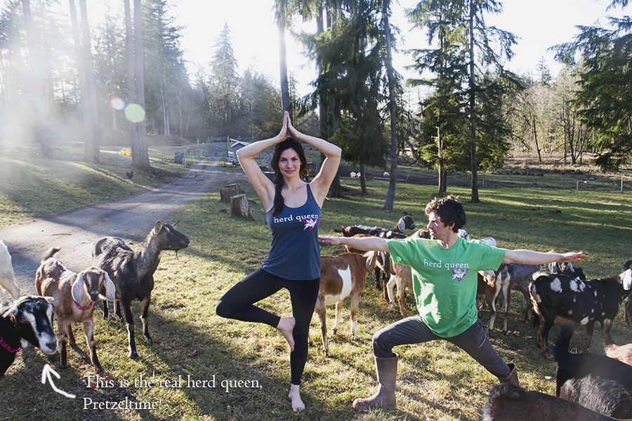 Herd Queen