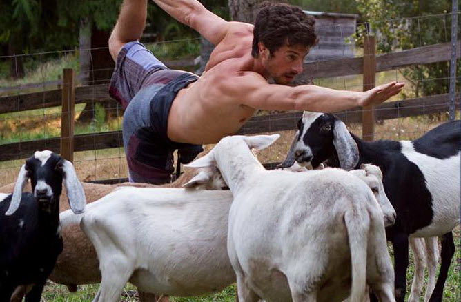 goat yoga.jpg