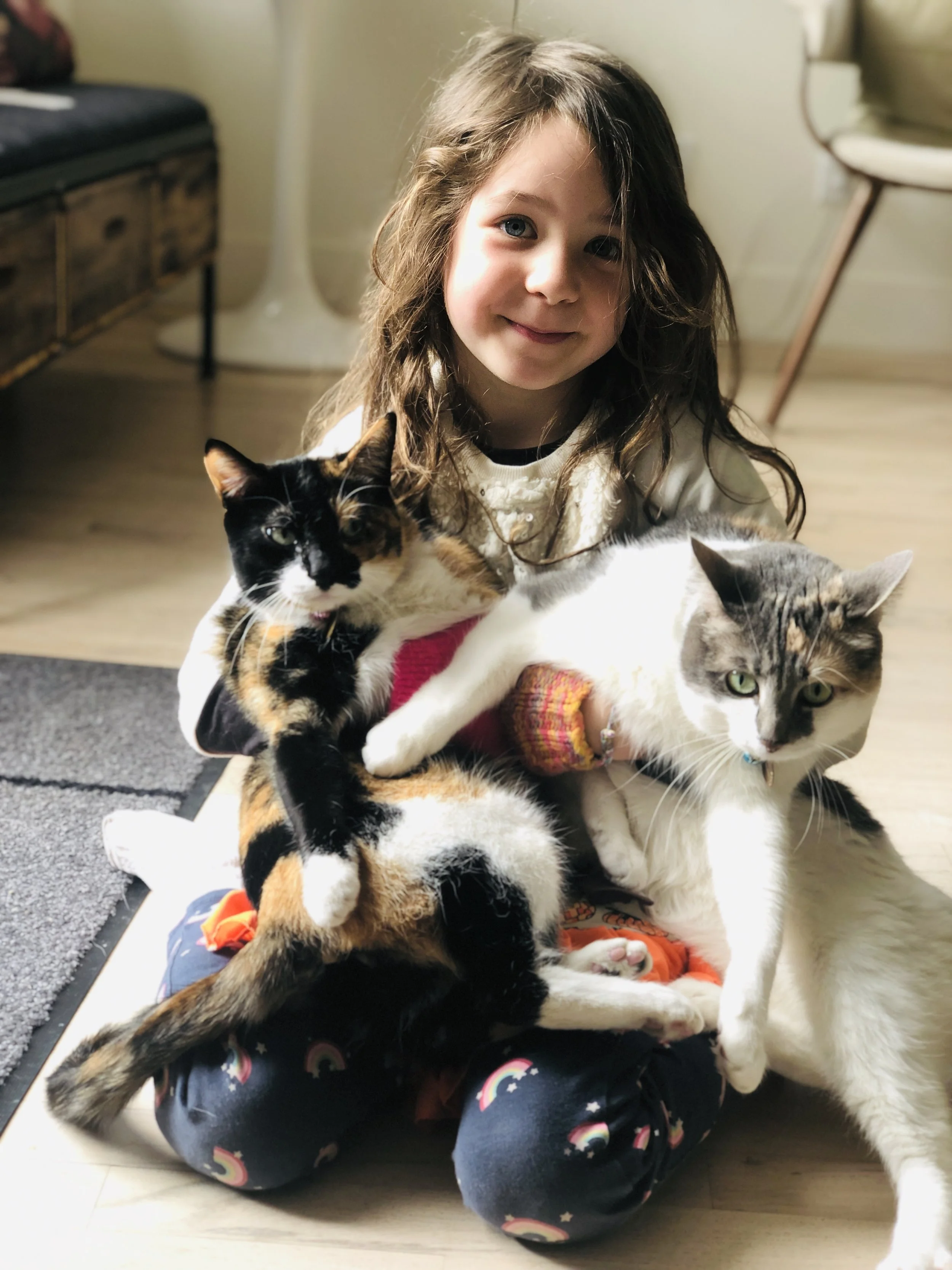 cats.jpg