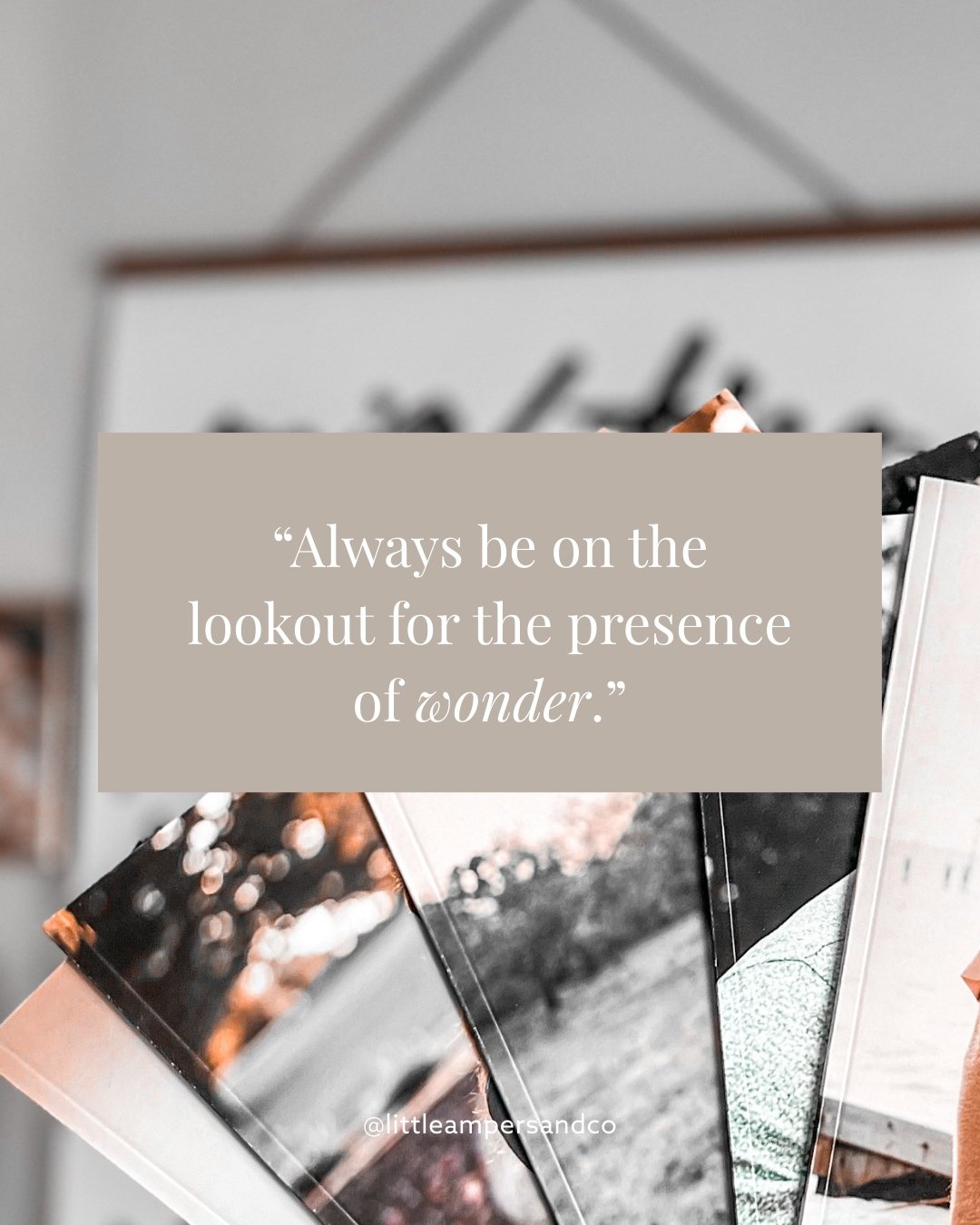 The holidays have a way of slowing us down just enough to notice the magic in the little things. ✨ 
This season, may your home and your heart be looking for wonder... even in the middle of your adoption journey. 🎄💛