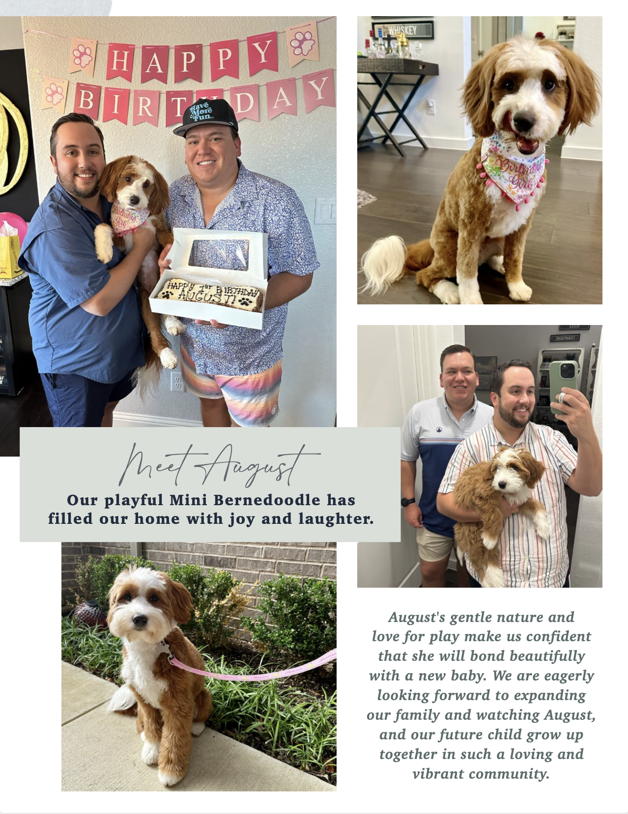 Screenshot 2024-10-03 at 1.23.52 PM.png