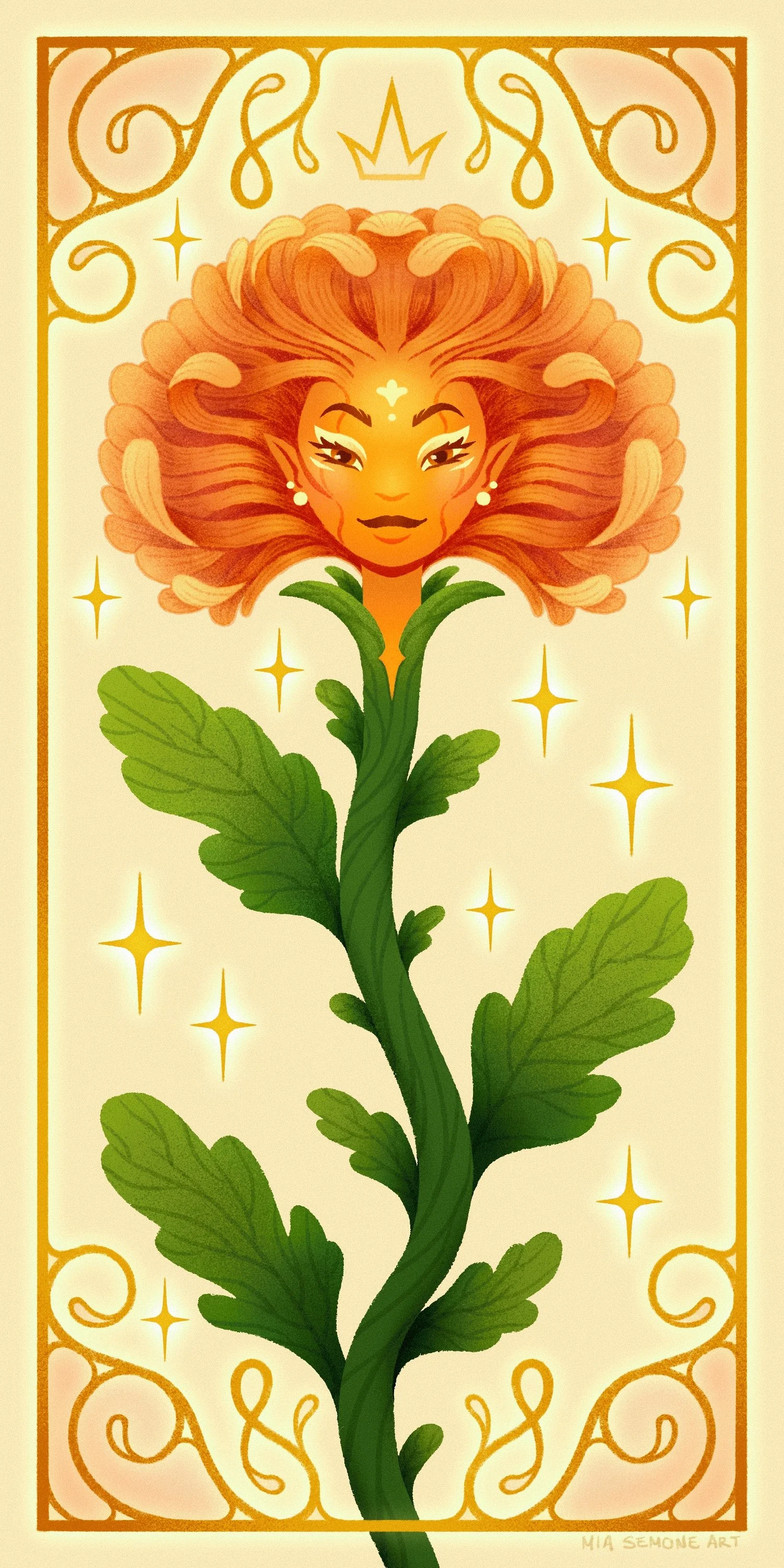 Chrysanthemum Queen, 2024