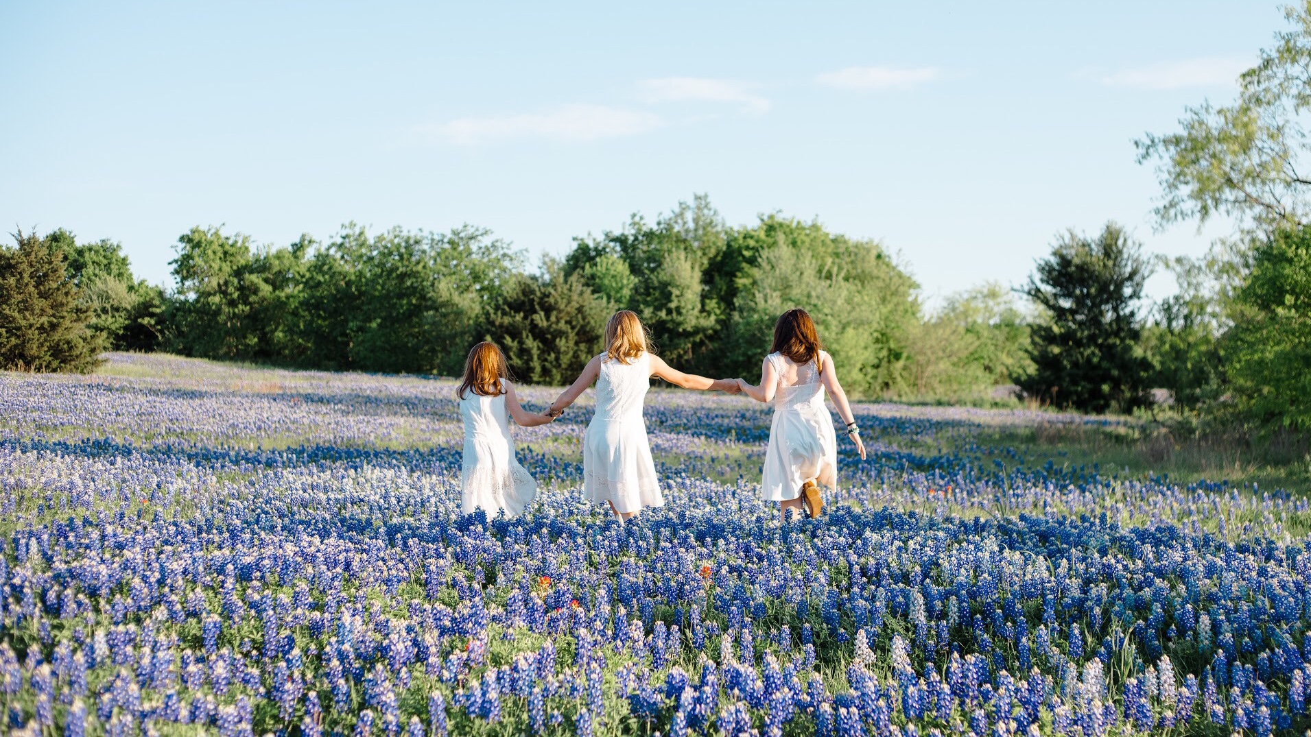 Bluebonnet Photographer