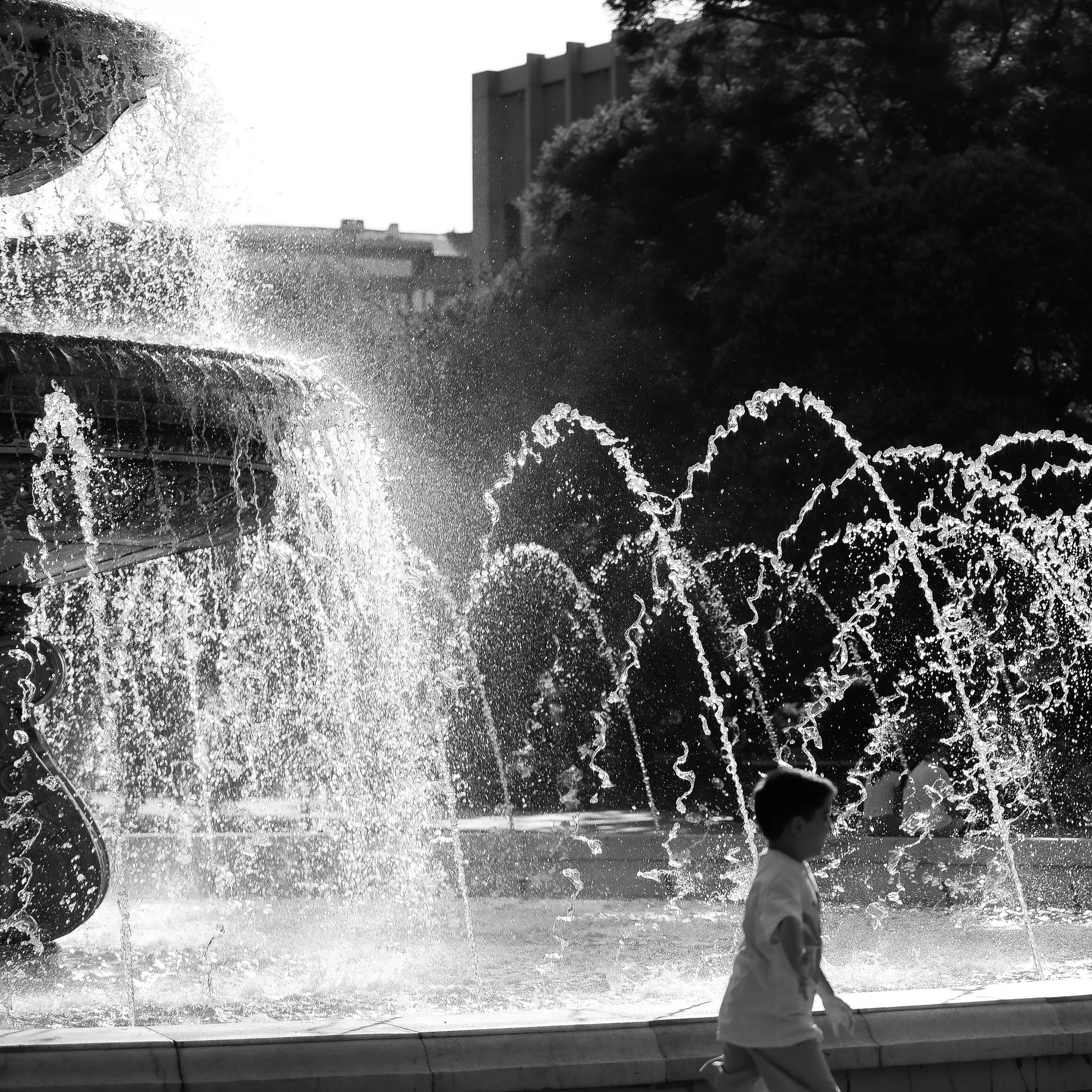 Summer’s Apprentices