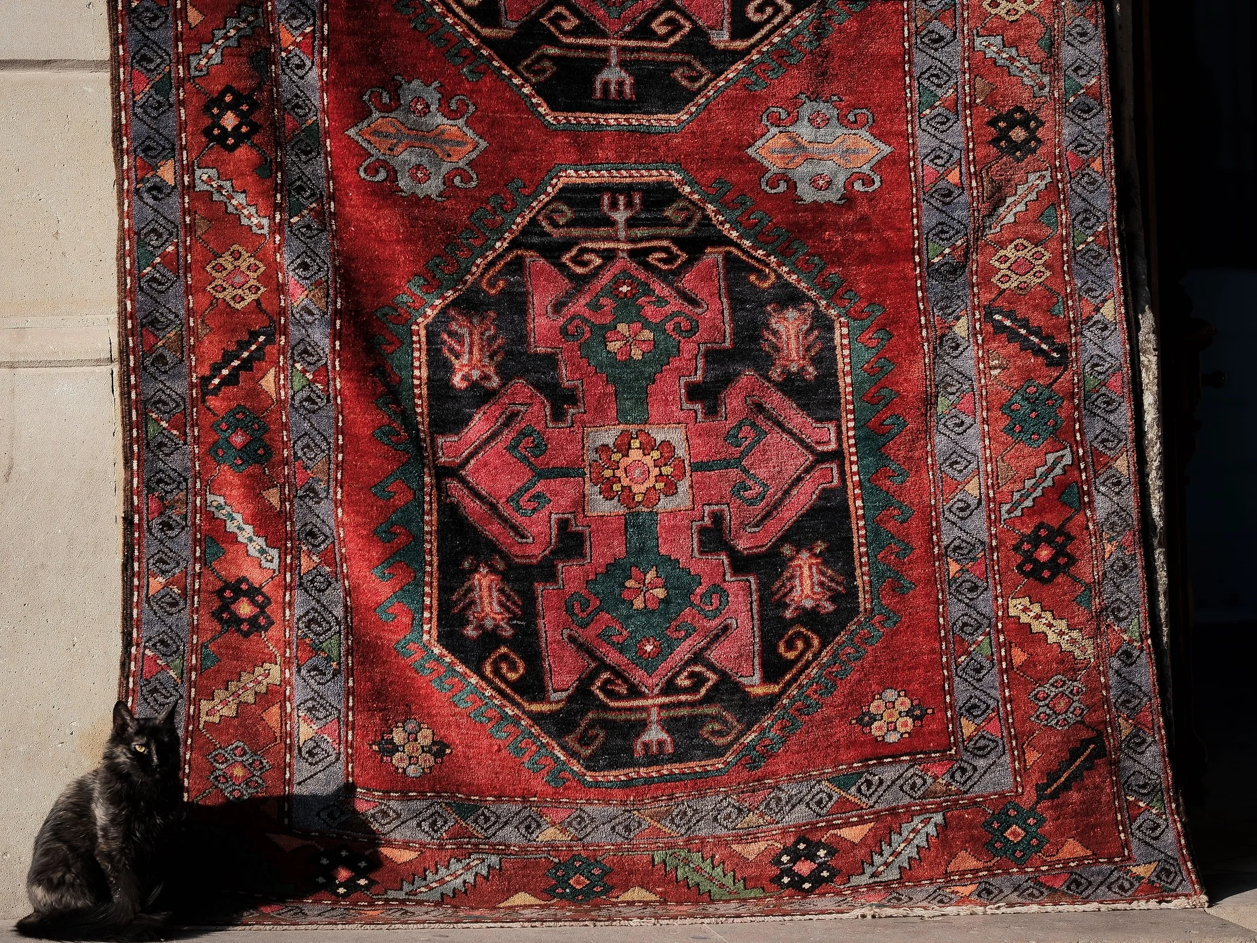 The Carprt Connoiseur