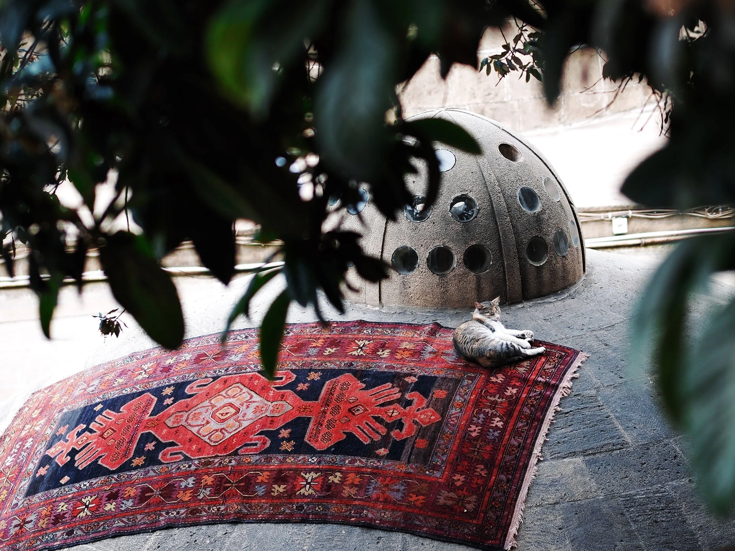 Paws and Persian Weaves