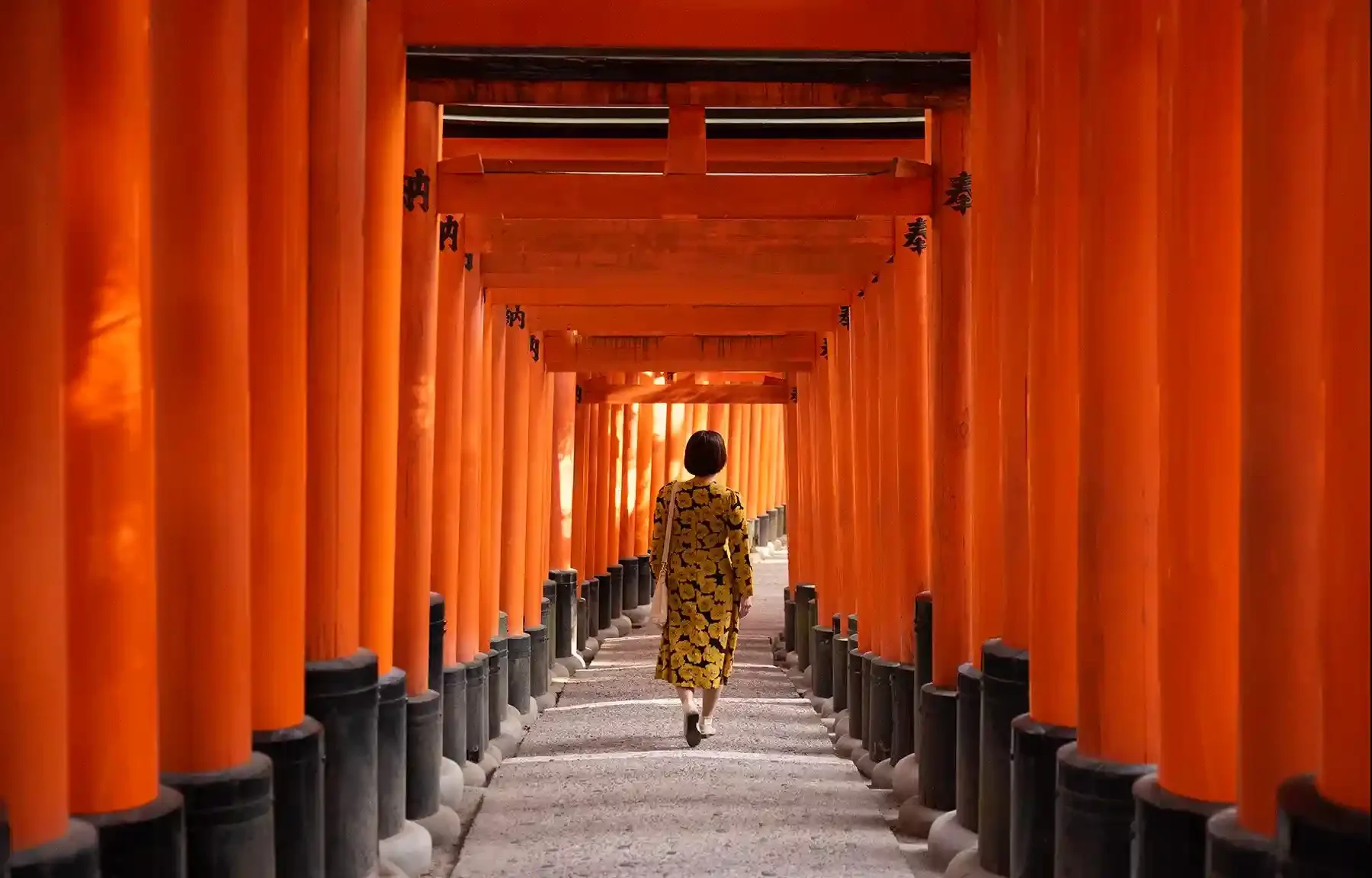 Fushimi_Inari_0K1A2155_Rs min.webp