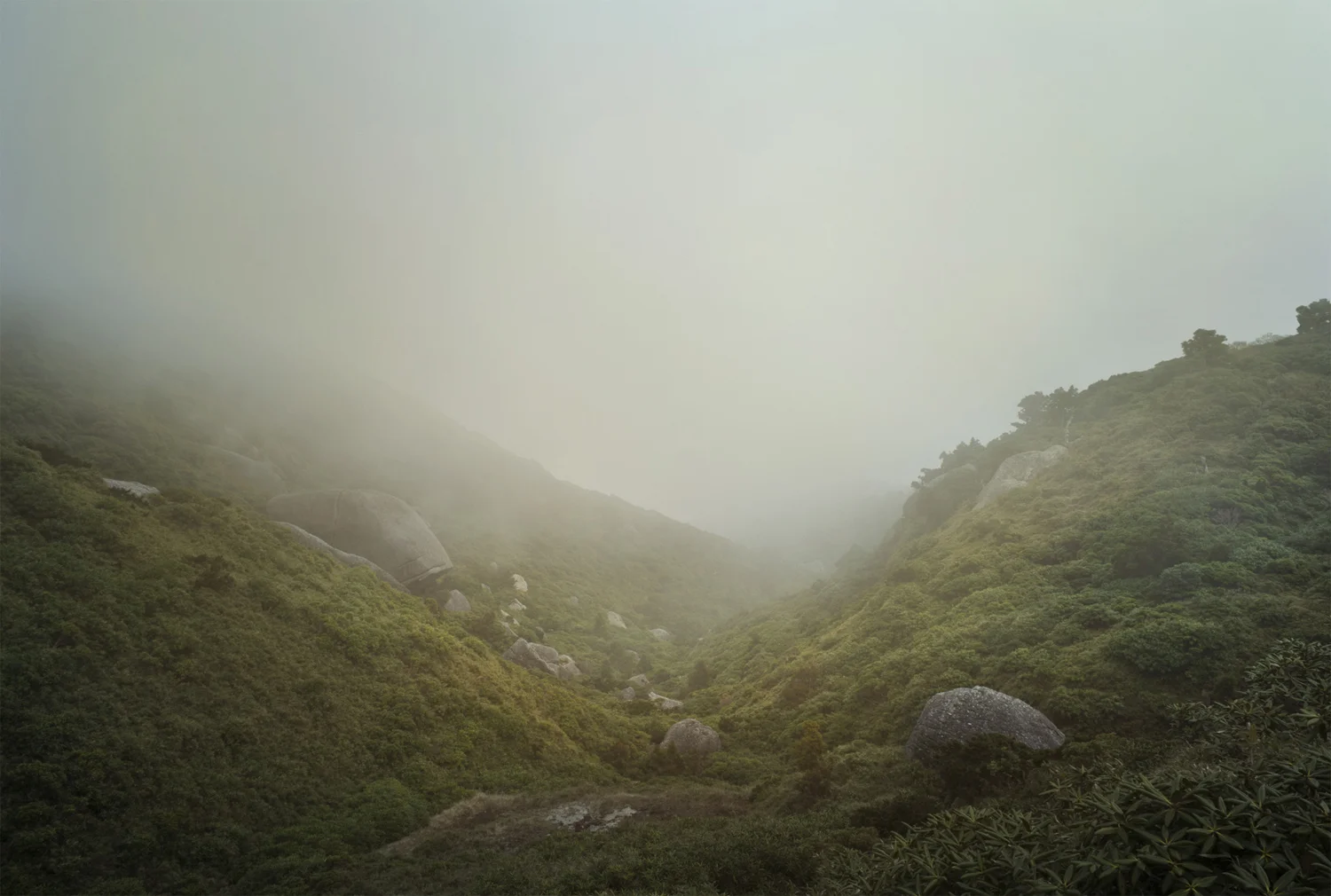 19 Fog valley.jpg