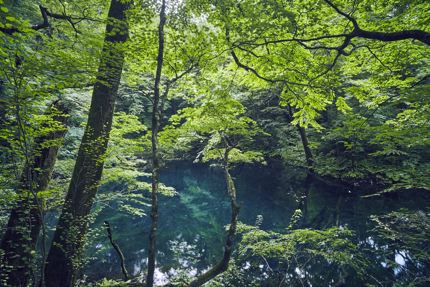 0010_0803Fukaura_335-s.jpg