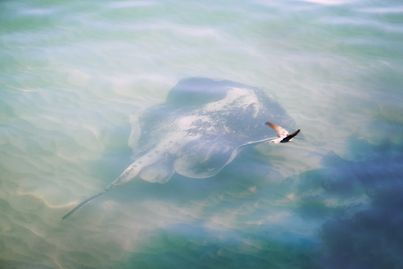 0031_Warrnambool_457F2_w.jpg