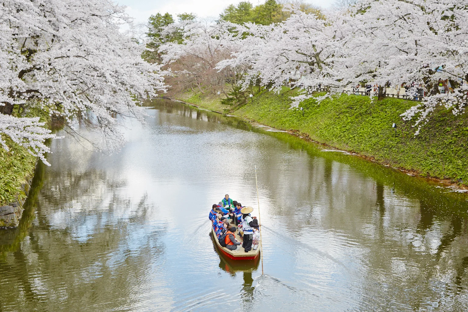 0056_Hirosaki-Sakura-day_911-web.jpg