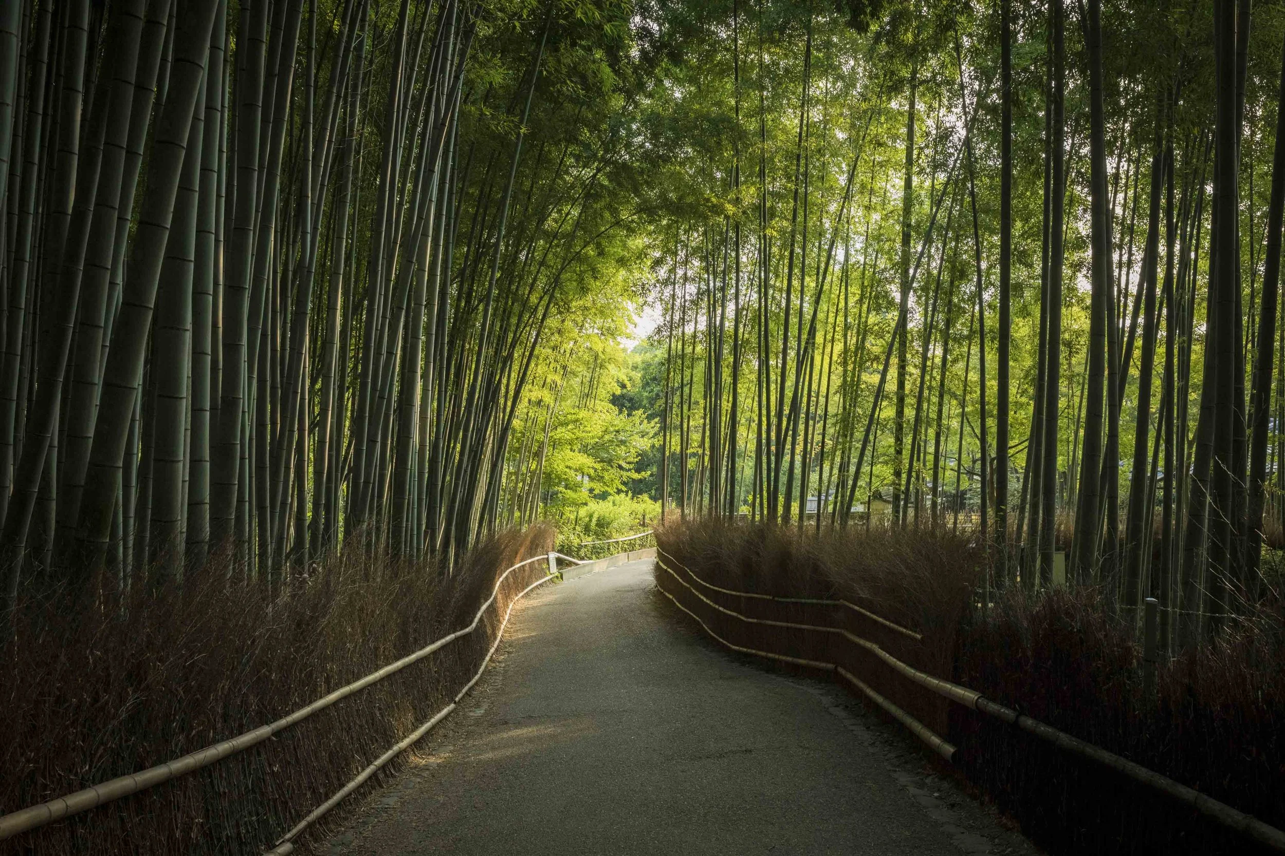 Mastery_Arashiyama_0004.jpg