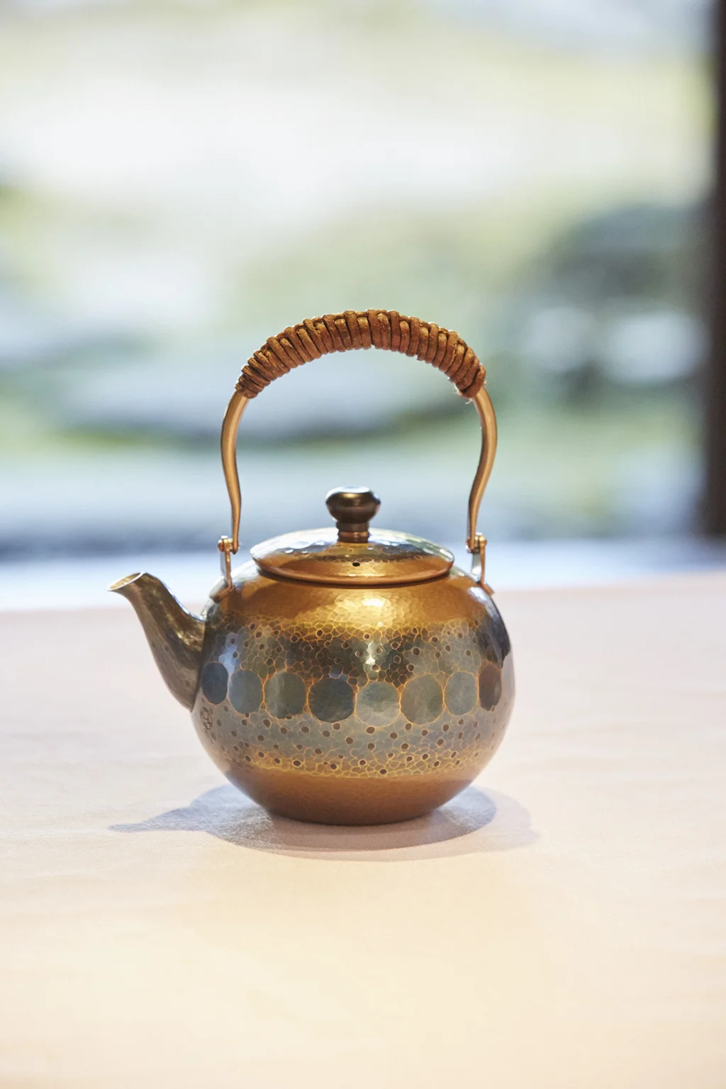TW_Tsubame_1010-w.jpg