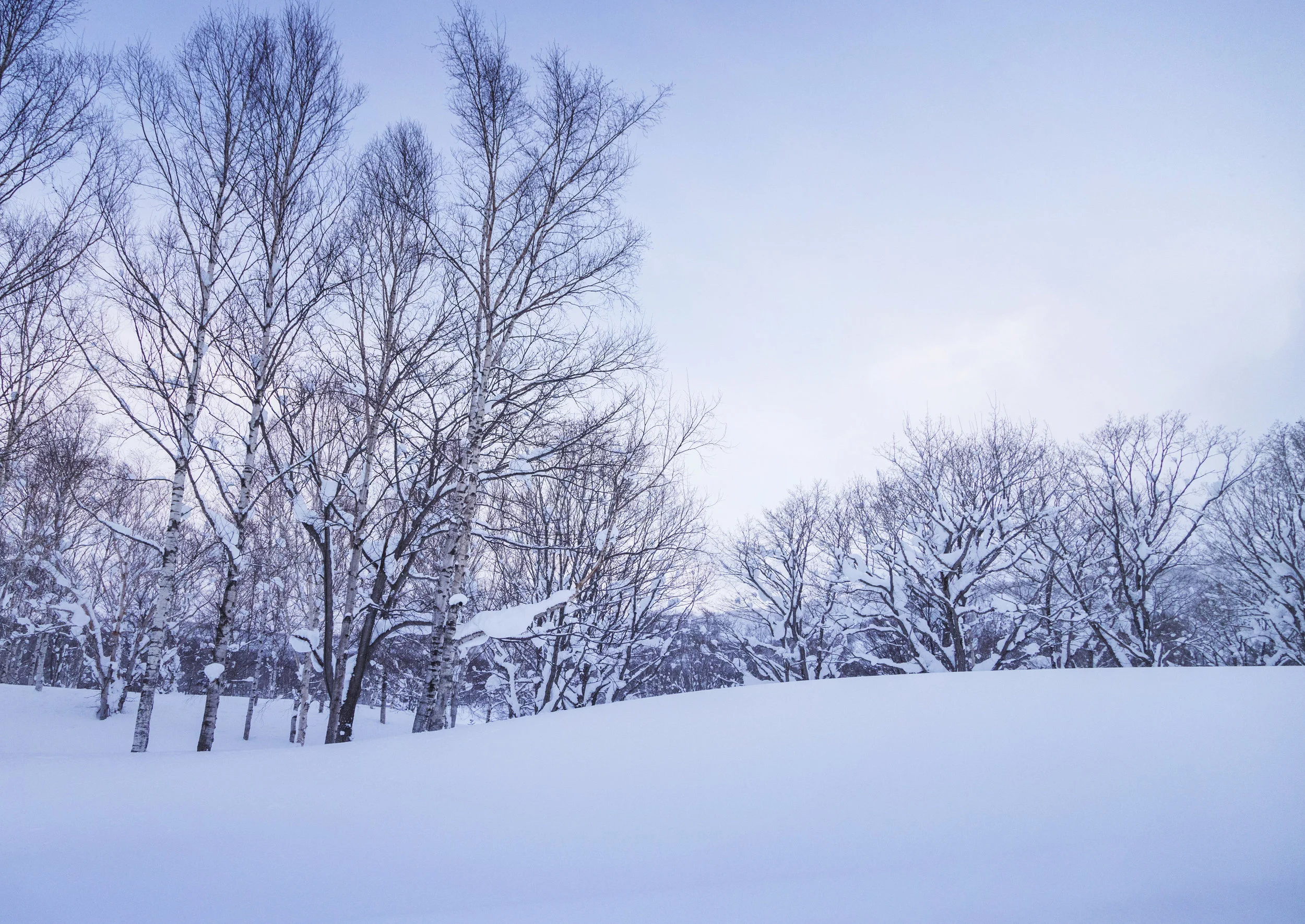 Snomobile_0730-R.jpg