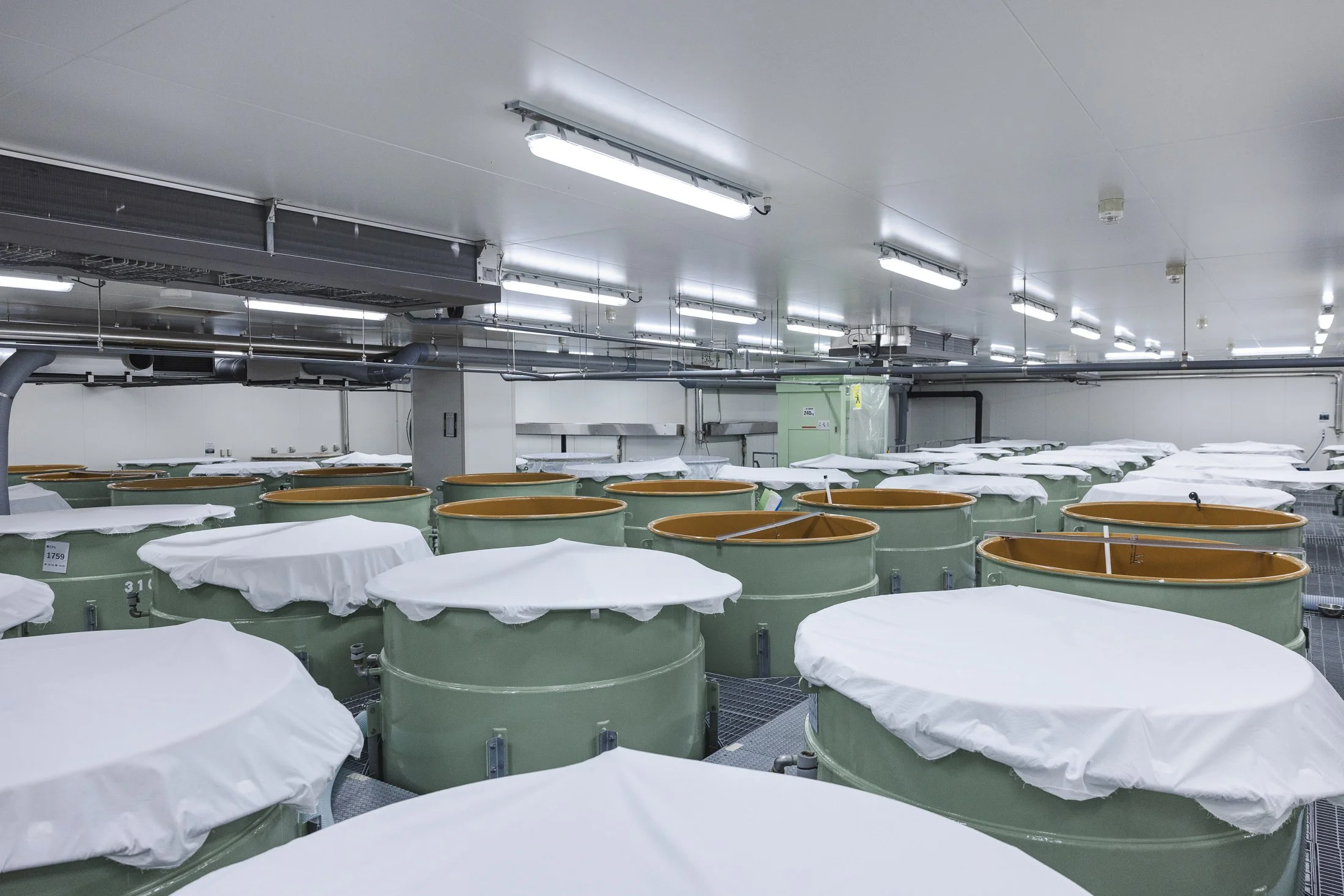 Dassai_Brewery_119.jpg