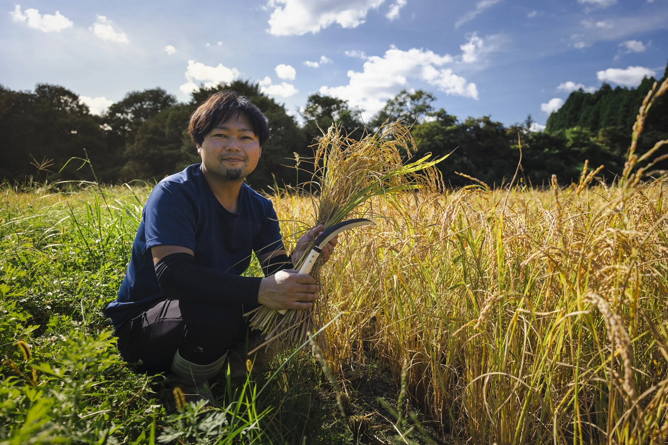 Rice_Harvest_754-W.jpg