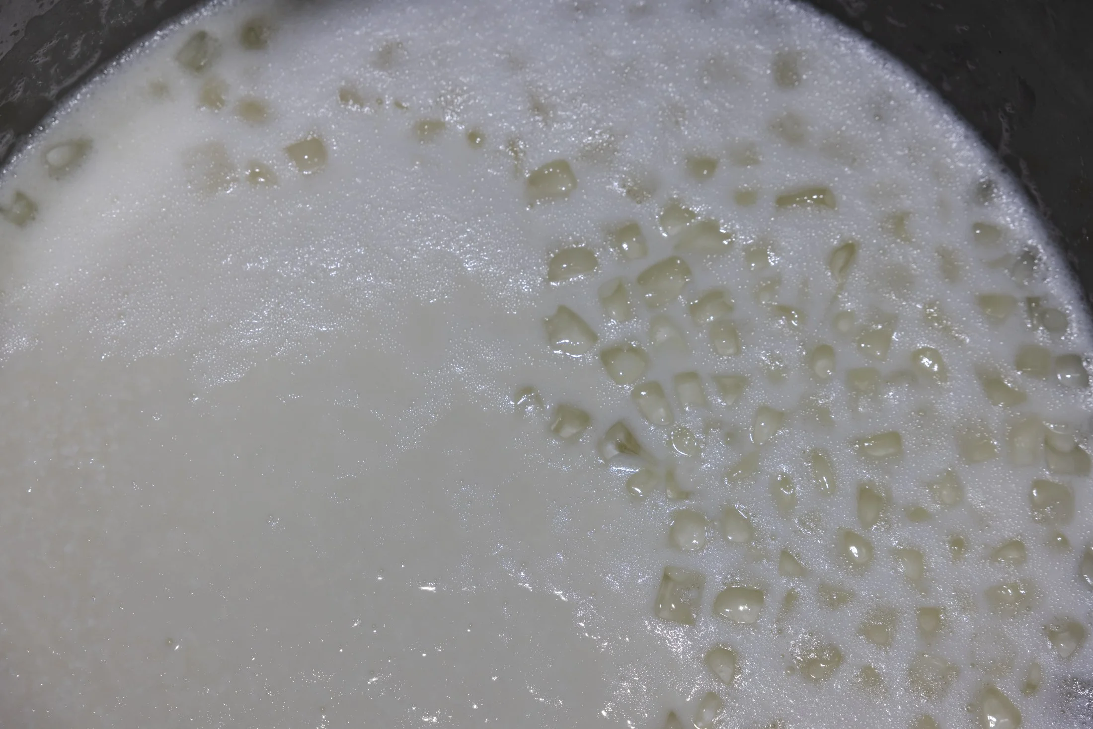 Hakko_Aichi_HouraisenBrewery_237.jpg
