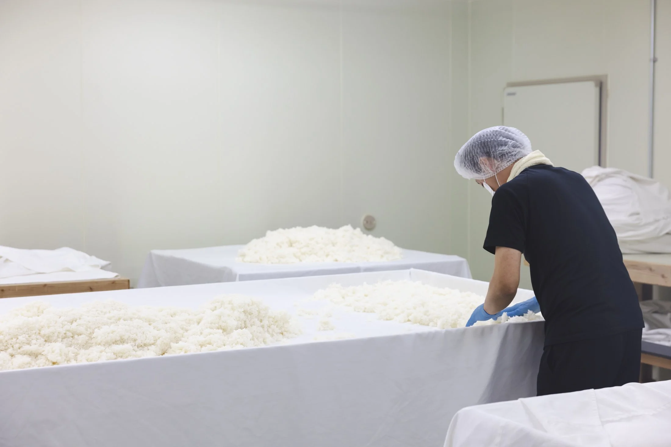 Hakko_Aichi_HouraisenBrewery_278.jpg