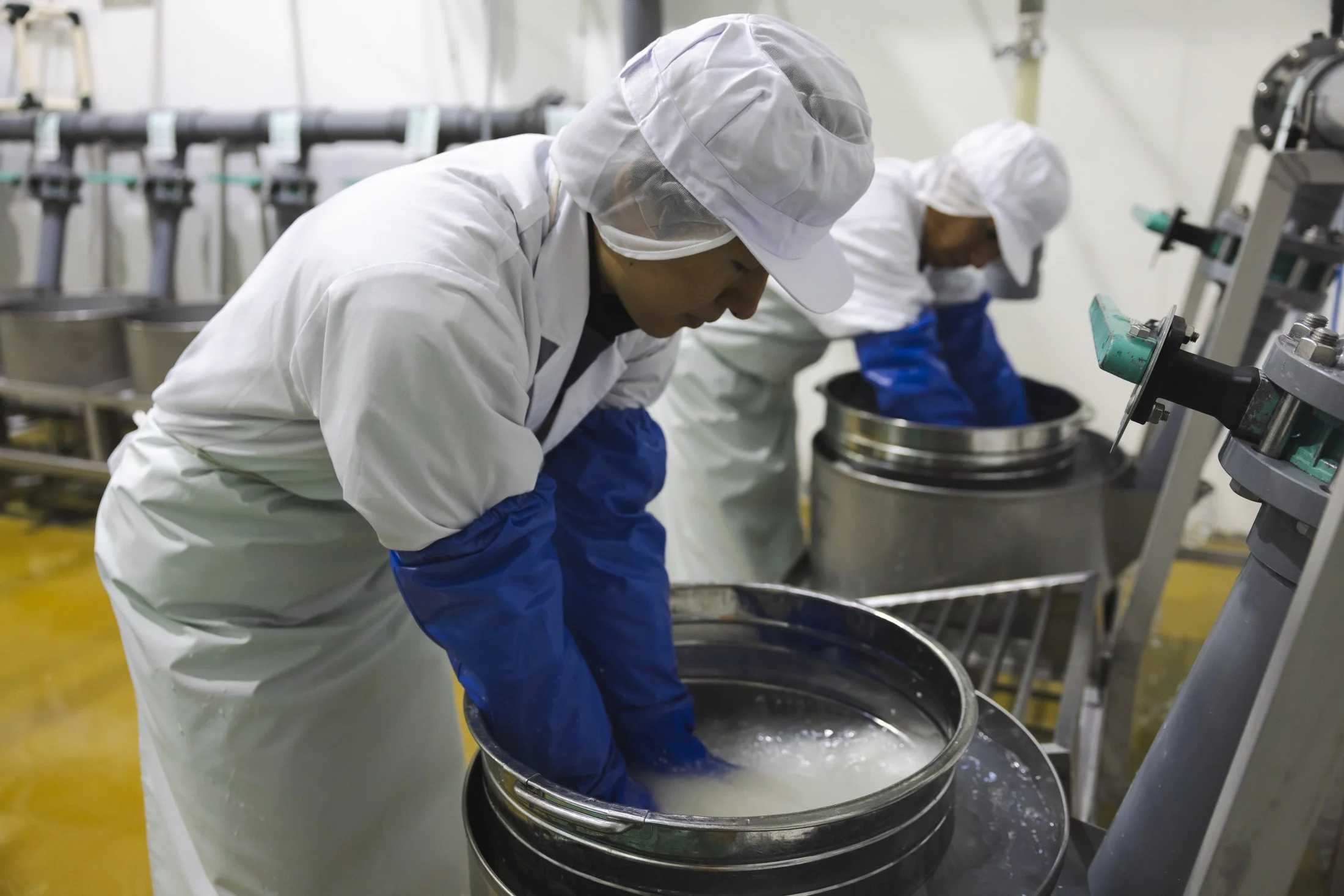Hakko_Aichi_HouraisenBrewery_1064.jpg
