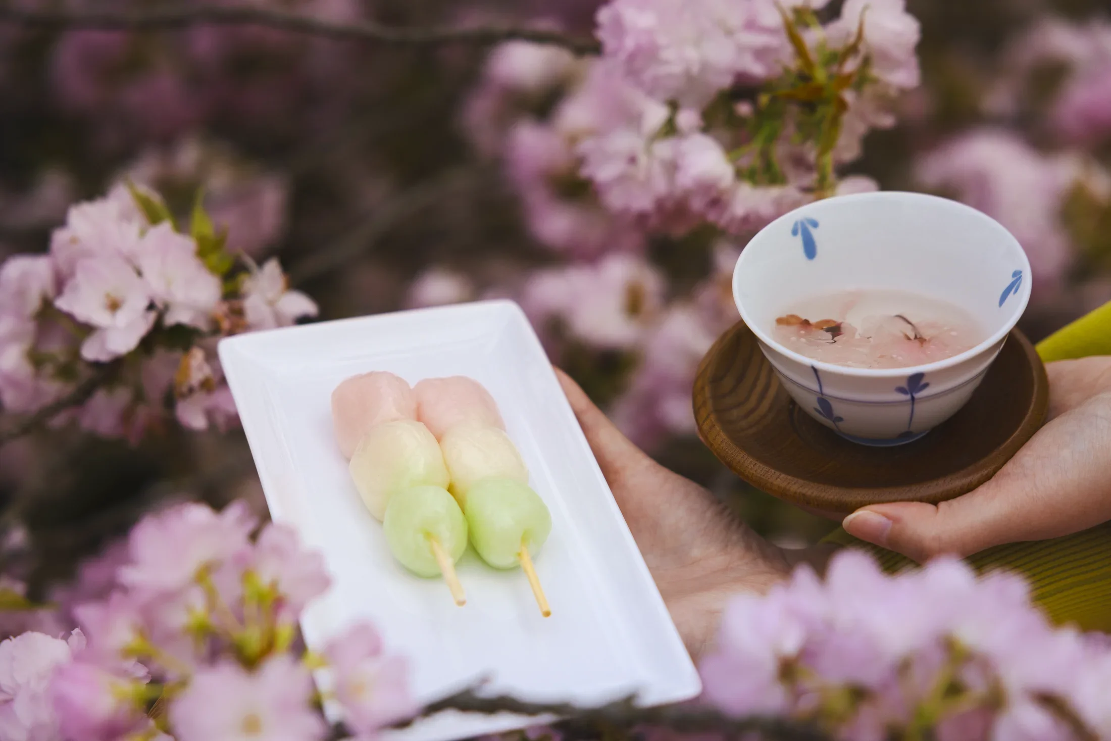 NaritaSakura_02854w.webp