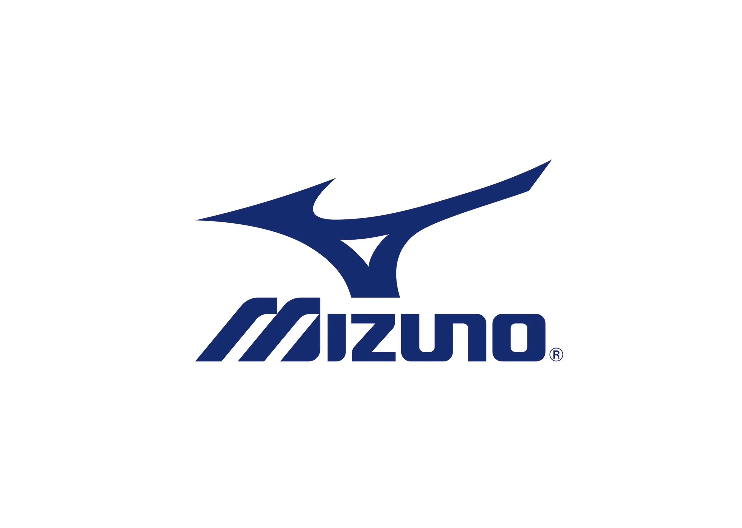 Logo carosel Mizuno.jpg