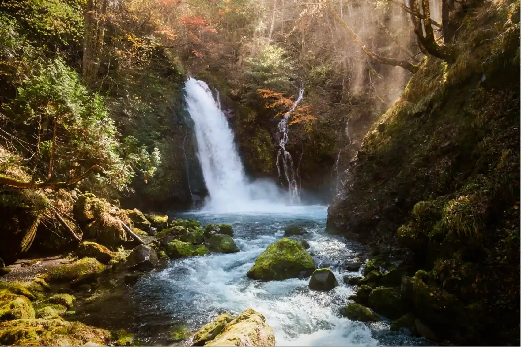 Goshikigahara_00714_M_R min.webp