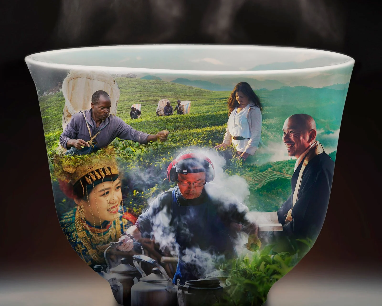 BBC_onecup_Art4.jpg