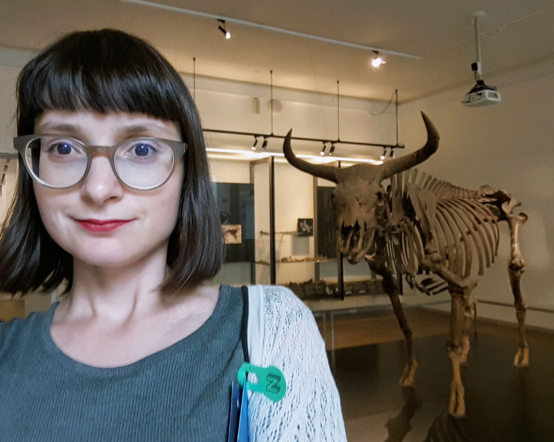 Kirjoittaja ja Tanskan kansallismuseon alkuhärkä, Bos primigenius