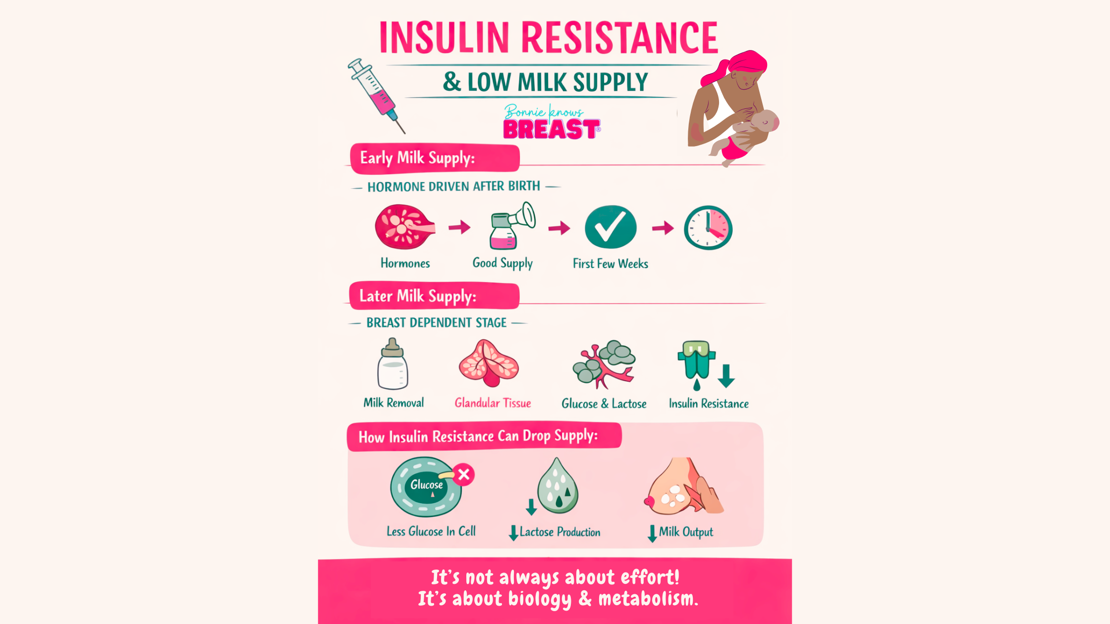 Insulin Resistance &amp; Milk Supply For Breastfeeding Parents