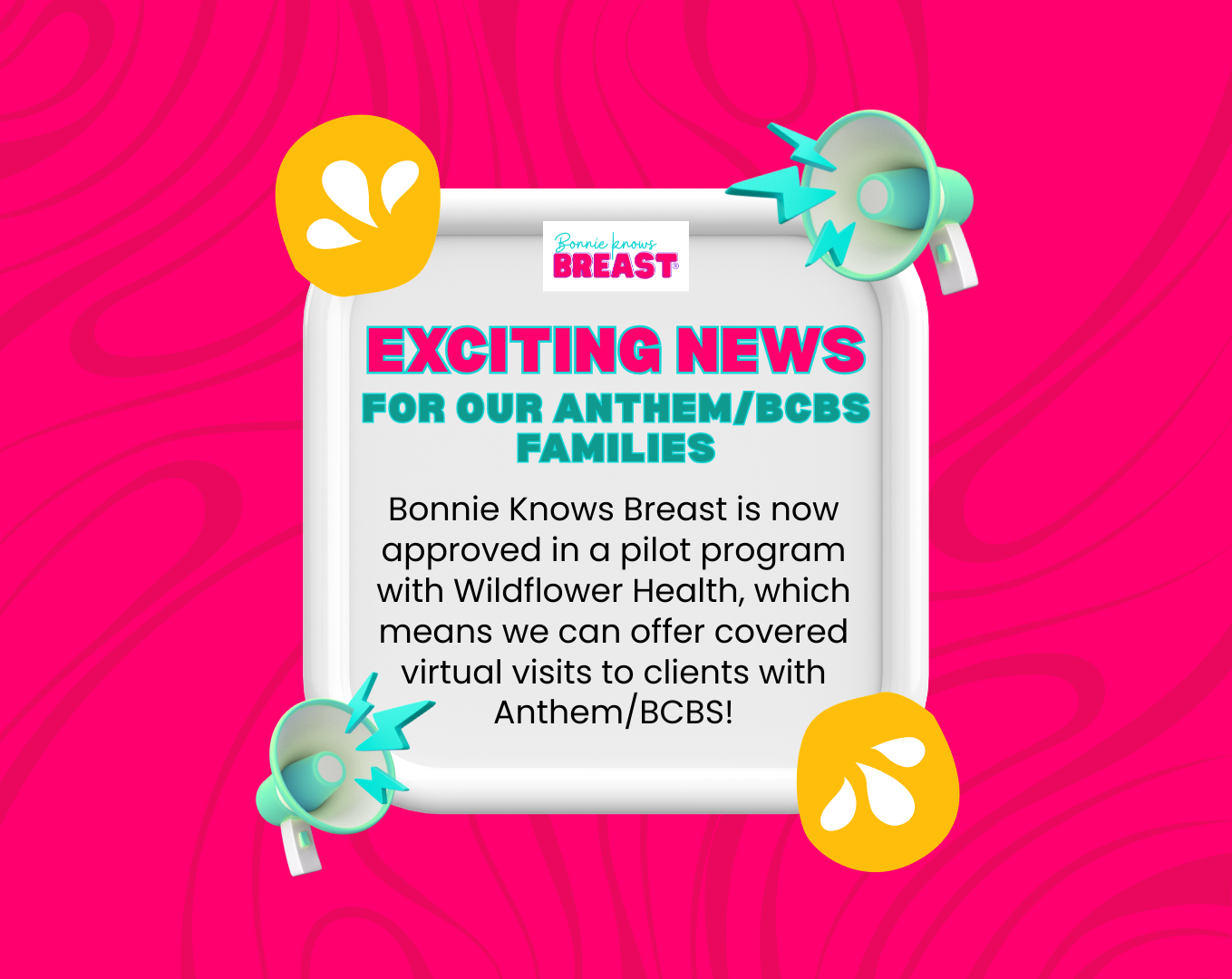 Virtual Lactation Visits Now Covered for Anthem/BCBS Families