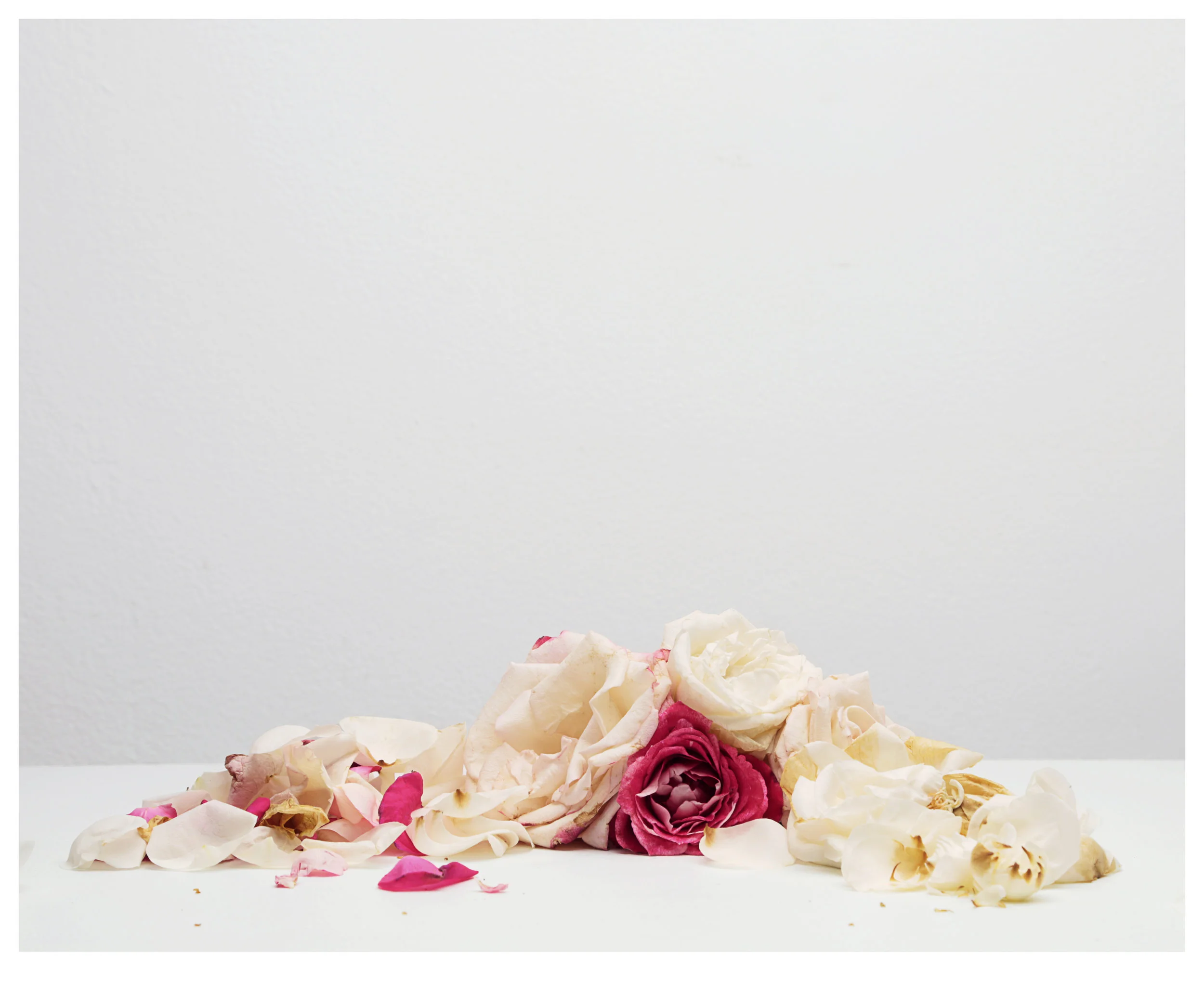  PHOTOGRAPHY J EXPOSITO 