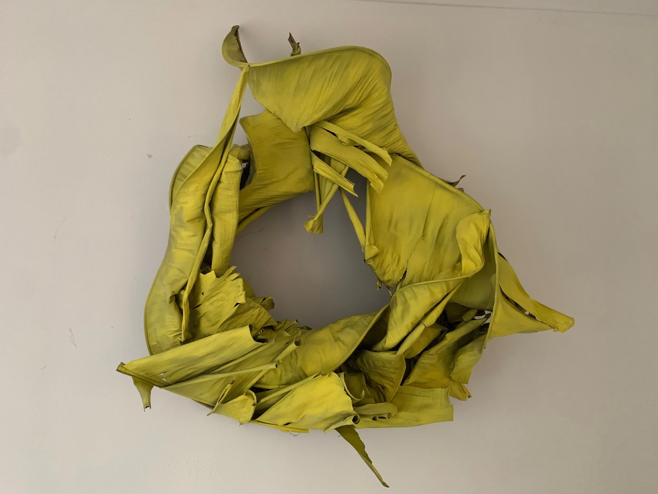 6466D549-A18D-479B-8E14-7421E6E84391