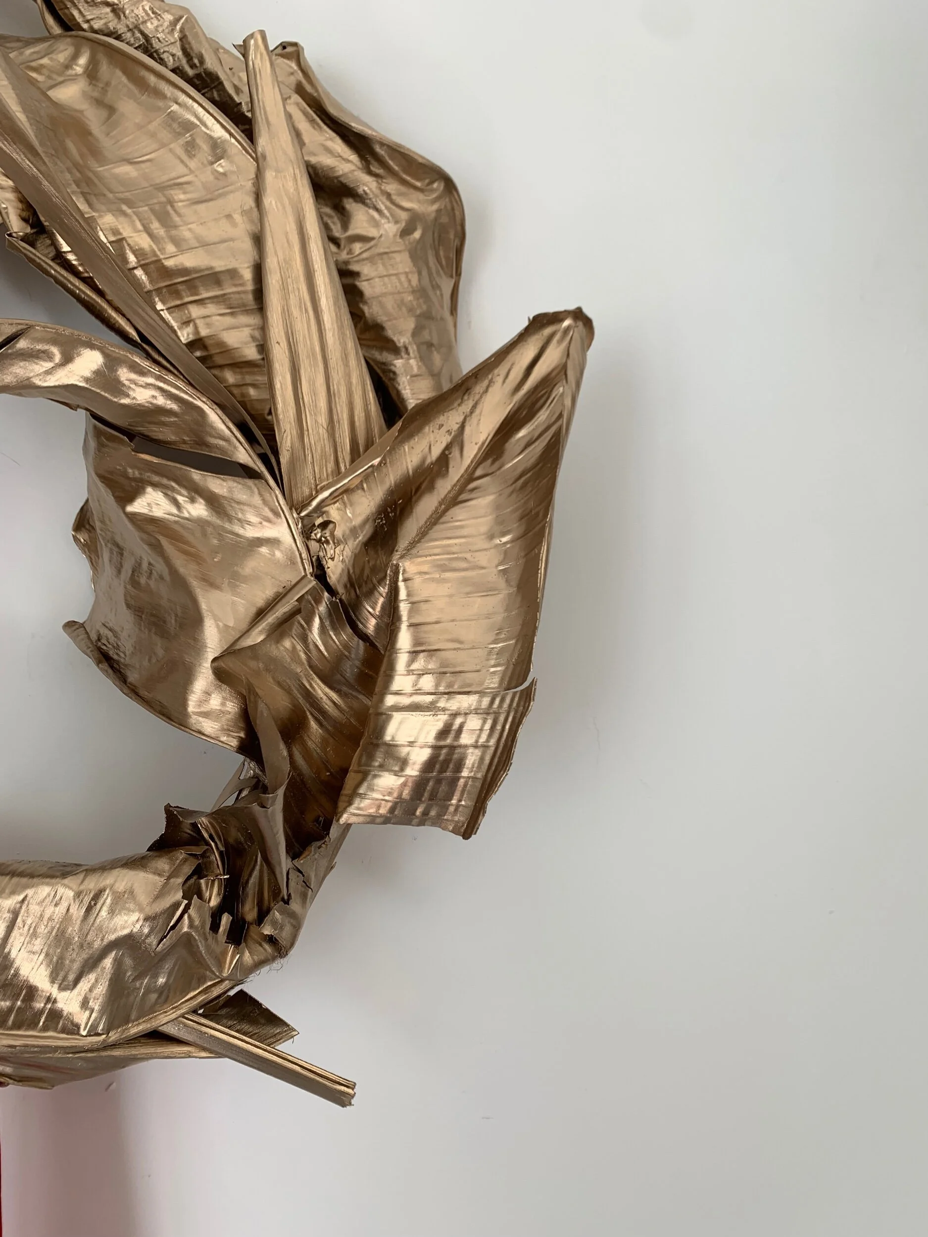 DC554621-A454-45A7-9E2F-A34ED3FF2A63