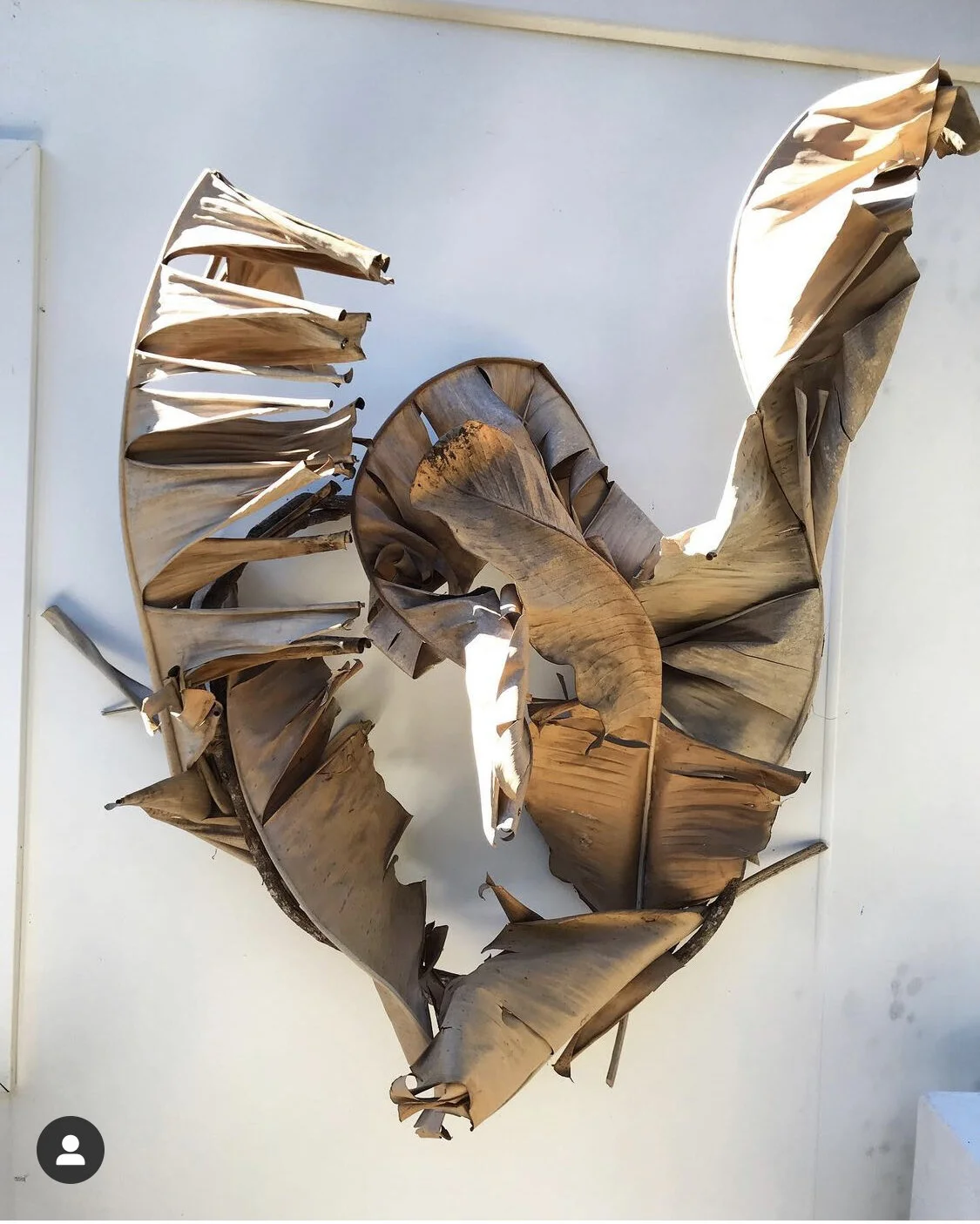 A4527F39-0F28-43F1-94A2-DF7104B12C2B