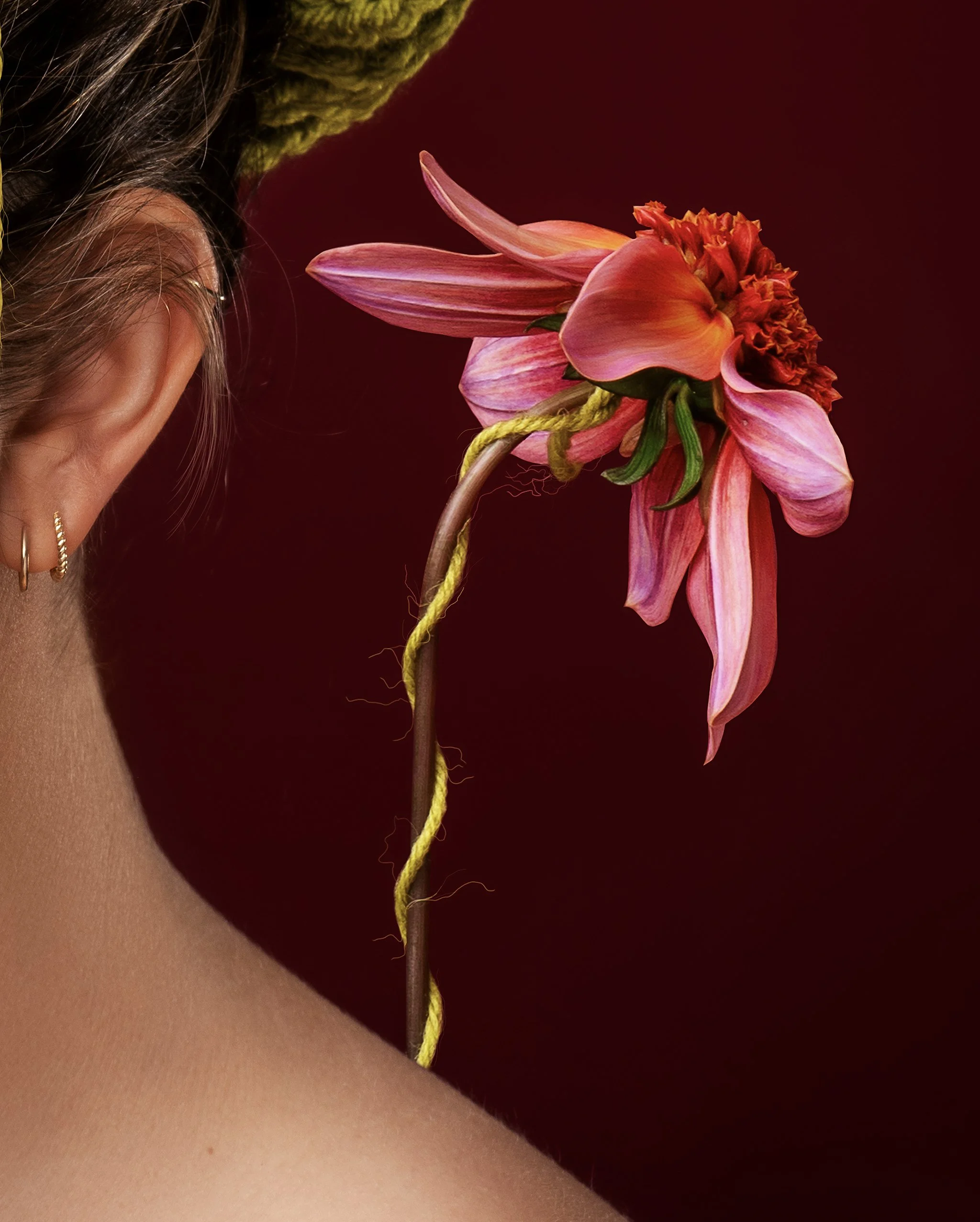 HRS05364_Final_Crop2 copy.jpg