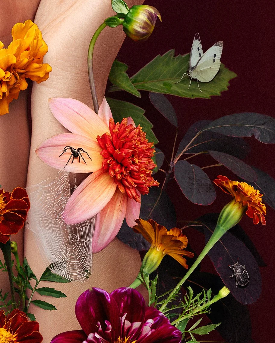 HollyRoseStones_4x5 cROP4.jpg
