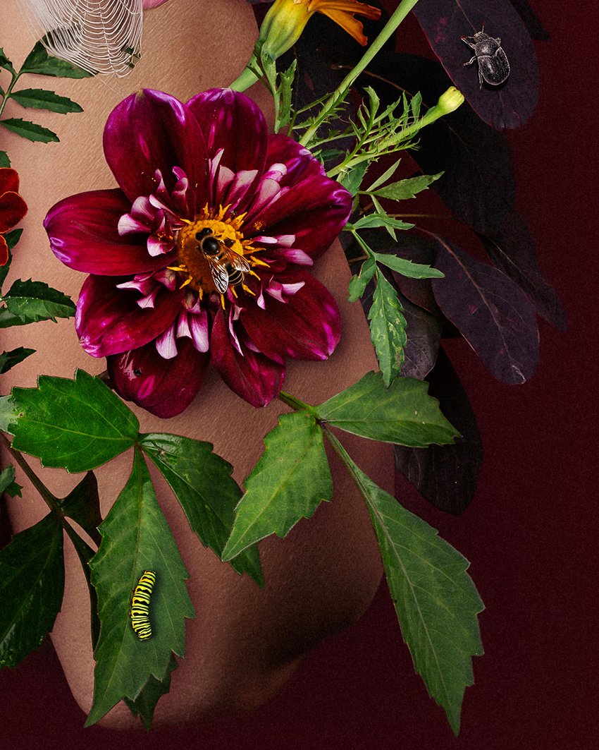HollyRoseStones_4x5 cROP3.jpg