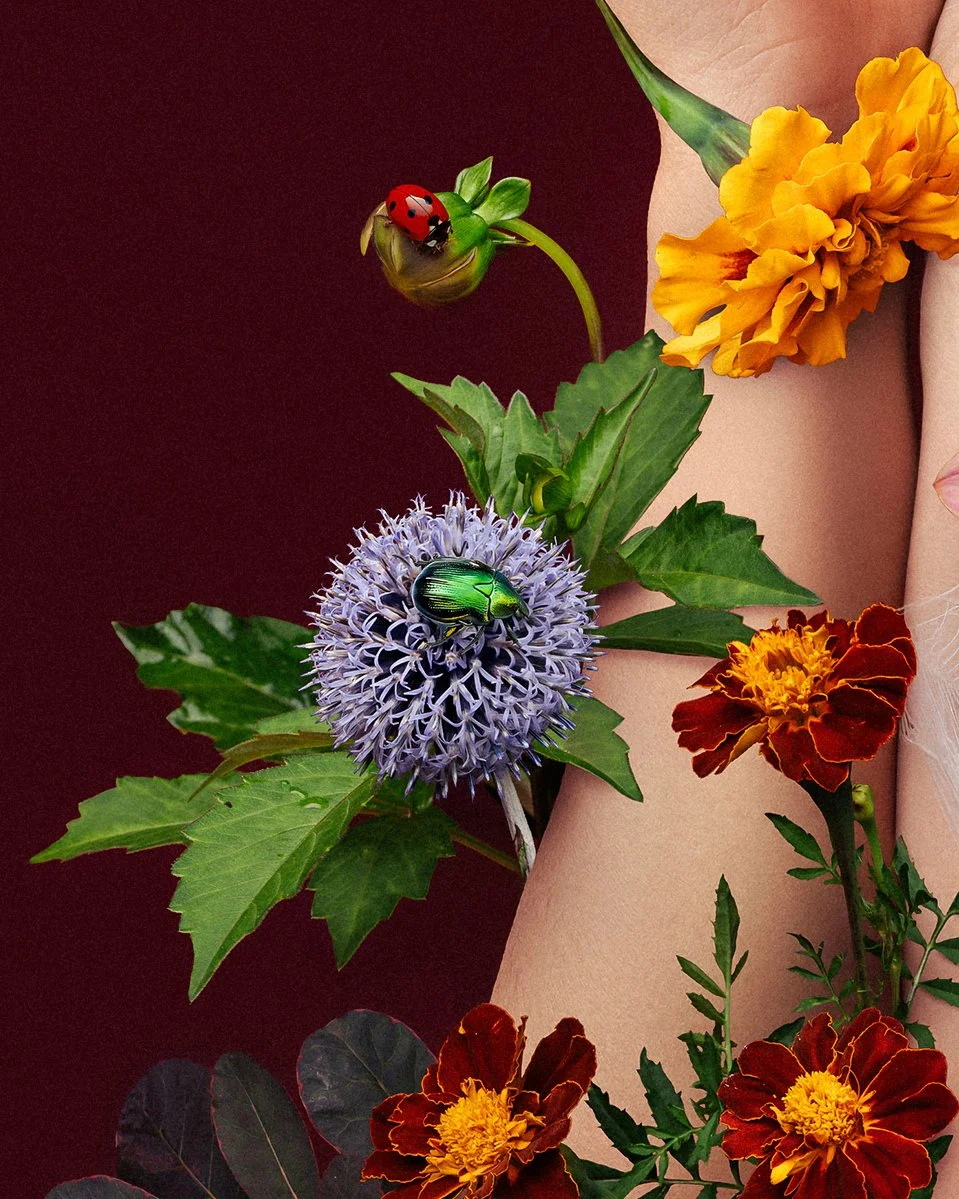 HollyRoseStones_4x5 cROP2.jpg