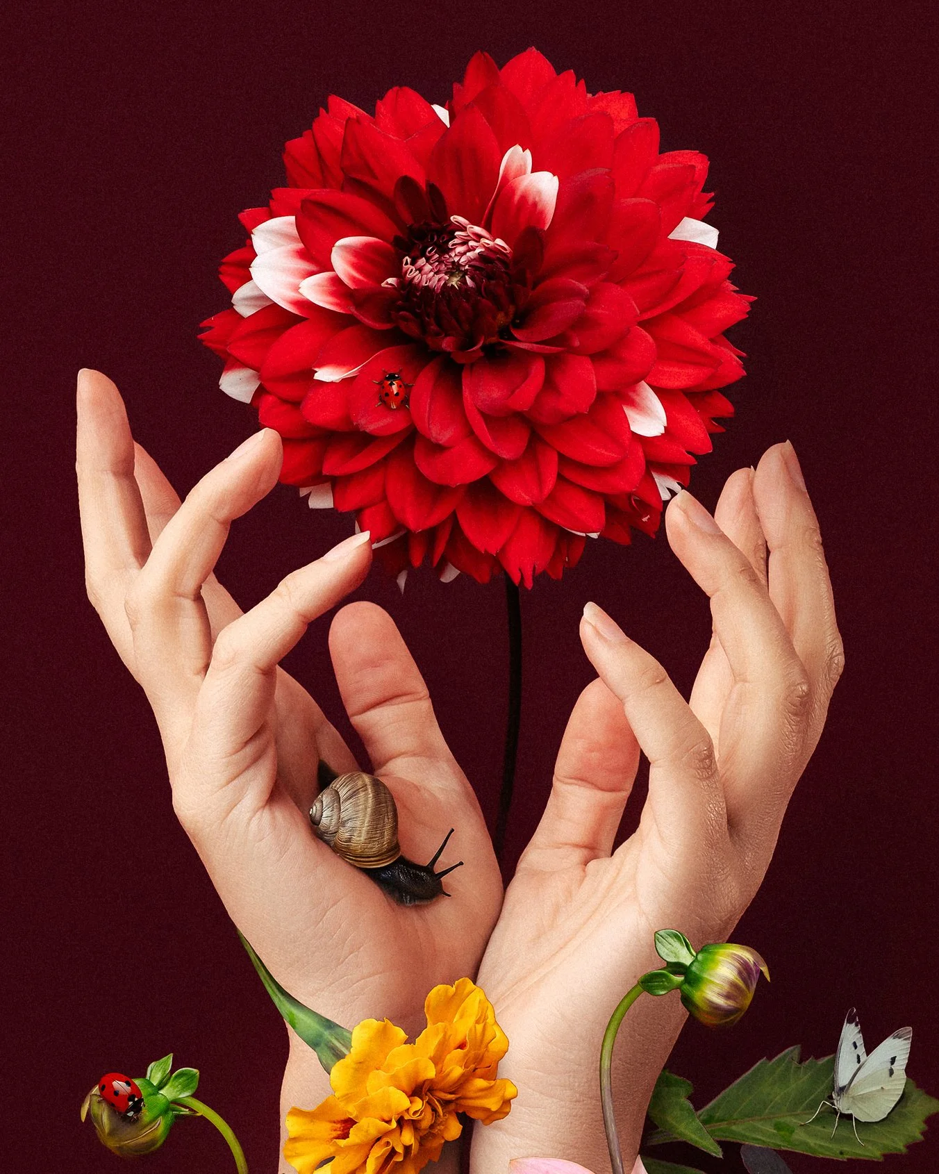 HollyRoseStones_4x5 cROP1.jpg